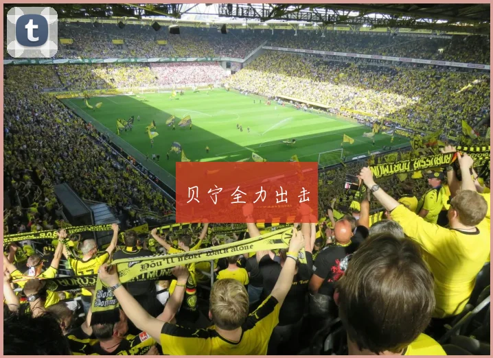 安博体育app下载 - 贝宁全力出击