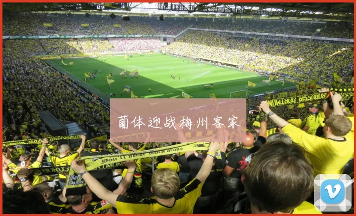 安博体育app下载 - 葡体迎战梅州客家