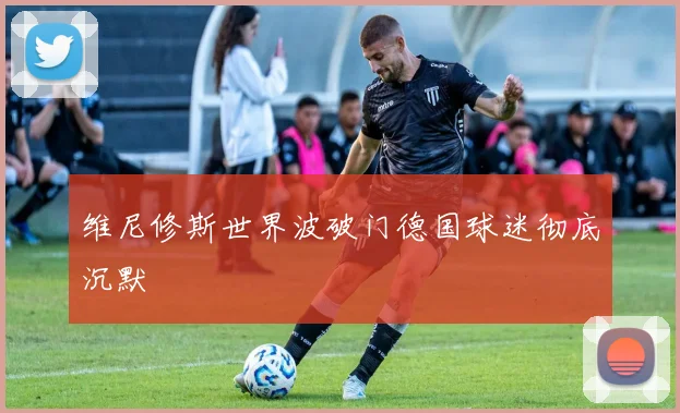 维尼修斯世界波破门德国球迷彻底沉默