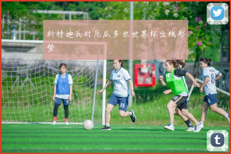 科特迪瓦对厄瓜多尔世界杯出线形势