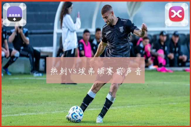 热刺vs埃弗顿赛前声音