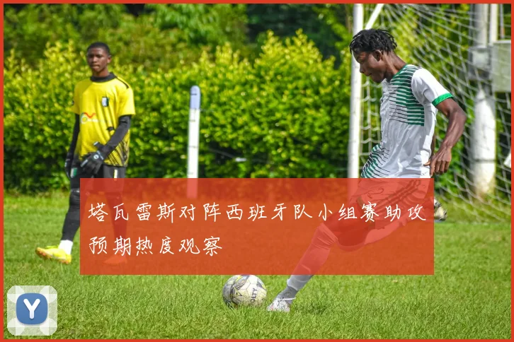 塔瓦雷斯对阵西班牙队小组赛助攻预期热度观察
