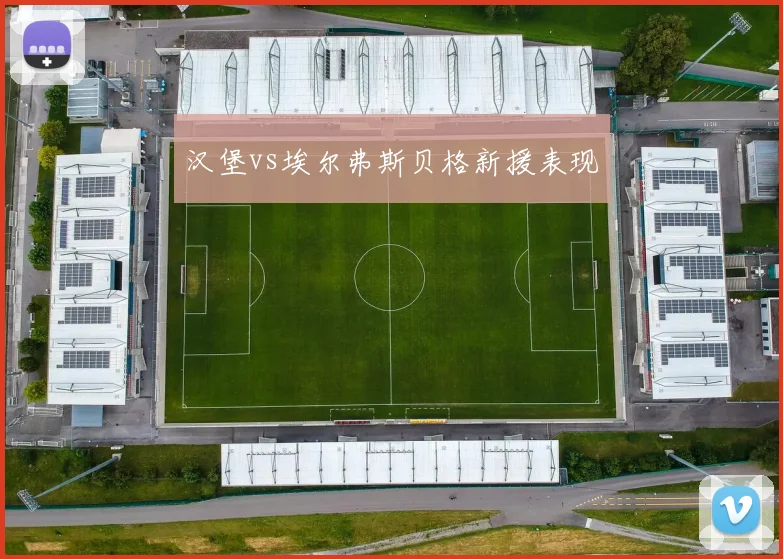 汉堡vs埃尔弗斯贝格新援表现